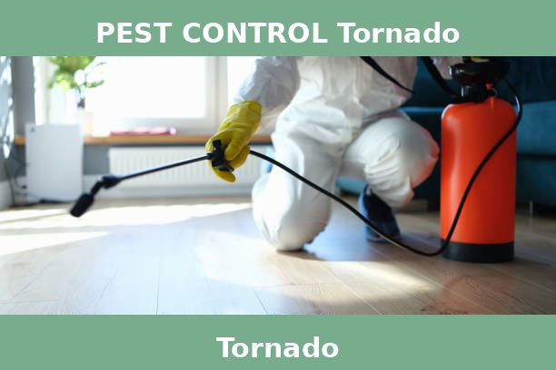 PEST CONTROL Tornado
